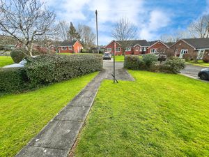 Front garden- click for photo gallery
